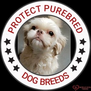 Meet your Posher, Sherry